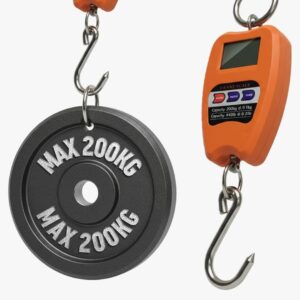 200kgs Mini Crane Scale Digital Heavy Duty weighing machine